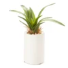 Mini Faux Greenery In White Ceramic Pot -Furniture Promotion Store 810509521