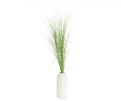 5' Grass In White Embossed Pot