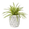 Grass In Arch Pattern Pot -Furniture Promotion Store 810553579