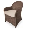 Broyhill Autumn Cove All-Weather Wicker Cushioned Patio Captain's Dining Chair -Furniture Promotion Store 810554526