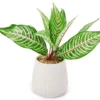 Green Artificial Leafy Arrangement With White Ridged Ceramic Pot 2 Green Artificial Leafy Arrangement With White Ridged Ceramic Pot -Furniture Promotion Store 810561038