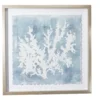 Blue & White Abstract Coral Framed Wall Art -Furniture Promotion Store 810561162