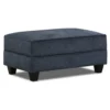 Dancaster Navy Storage Ottoman -Furniture Promotion Store 810569830 2
