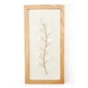 New Beginnings White Capiz Botanical Framed Wall Art -Furniture Promotion Store 810595455 A0