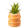 Wild Sedona Artificial Succulent In Orange Ribbed Cement Pot
