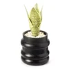 Wild Sedona Artificial Succulent In Black Ribbed Cement Pot -Furniture Promotion Store 810601867 A0 1