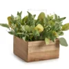 Artificial Greenery With Brown Square Wood Pot & Glass Hurricane -Furniture Promotion Store 810604219 A0