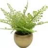 Homeward Artificial Greenery In Gold Cement Pot -Furniture Promotion Store 810620678 A0